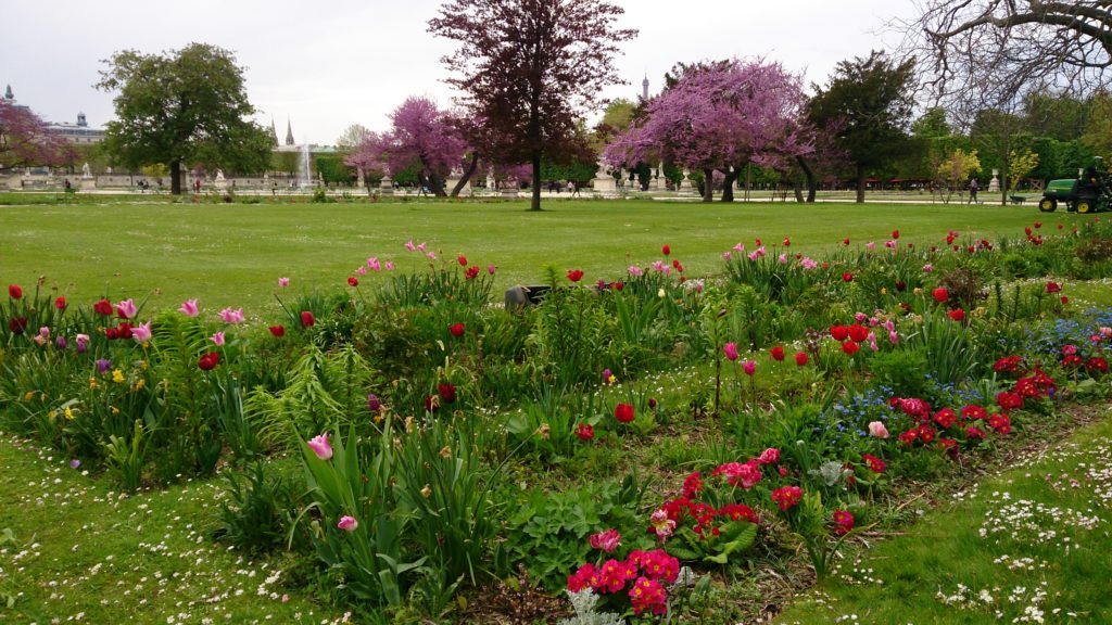 パリの春　チュイルリー公園